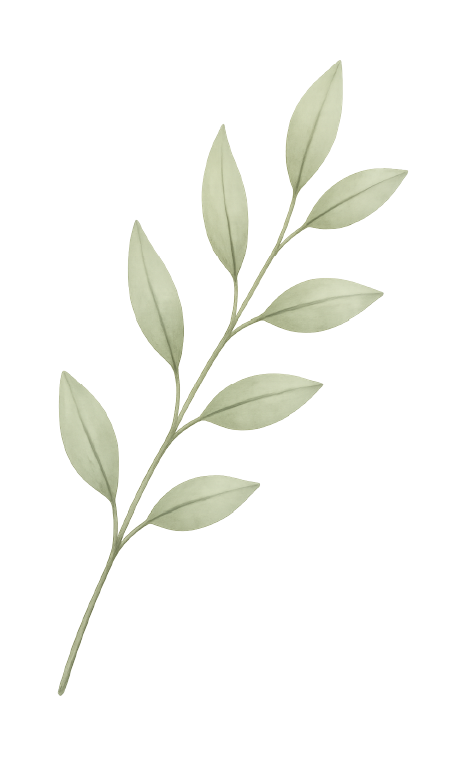 Decoración de hojas